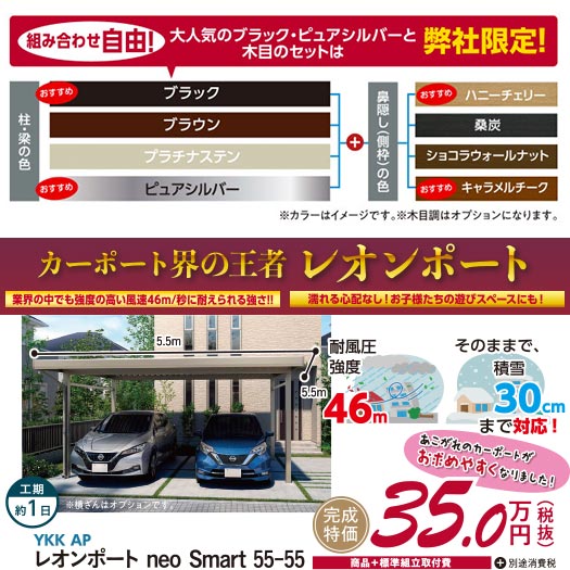 カーポート界の王者「レオンポート」